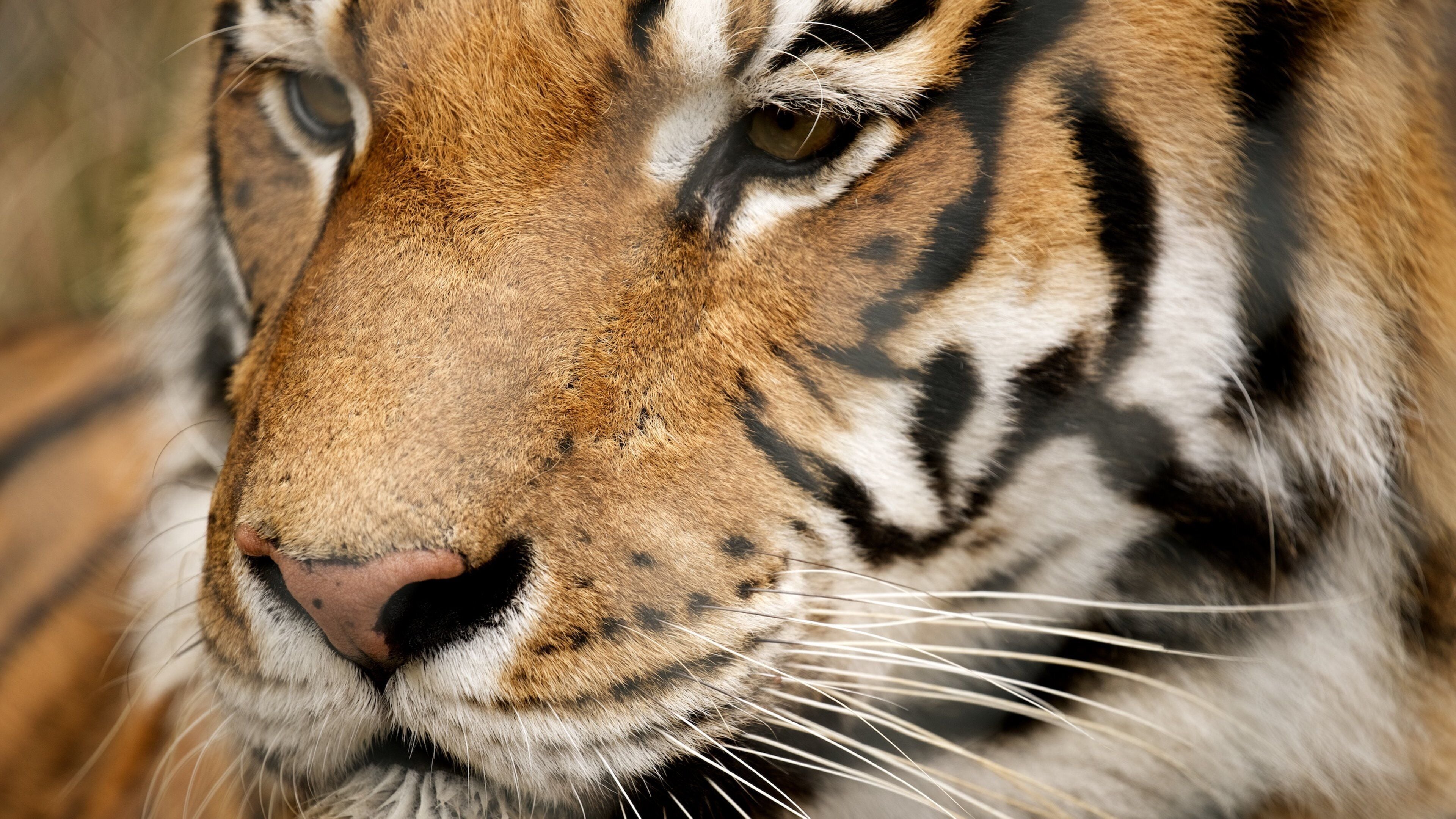 Jukani Wildlife Park