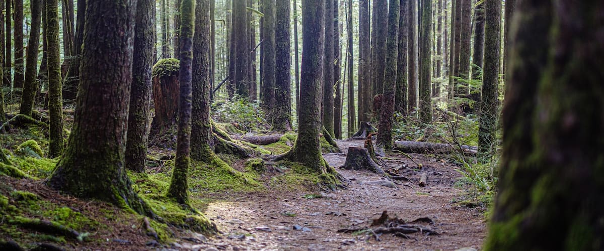 Wallace Falls State Park