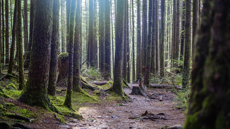 월러스 주립 공원