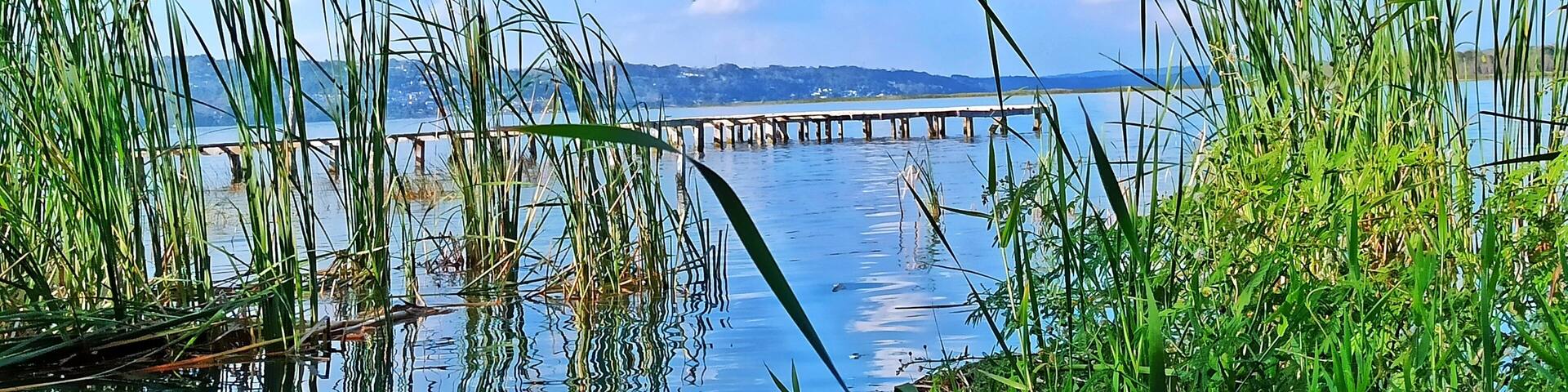 Lake Peten Itza Shoreline at El Pedregal Beach, San Benito, Peten, Guatemala