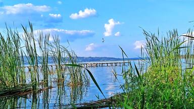Lake Peten Itza Shoreline at El Pedregal Beach, San Benito, Peten, Guatemala