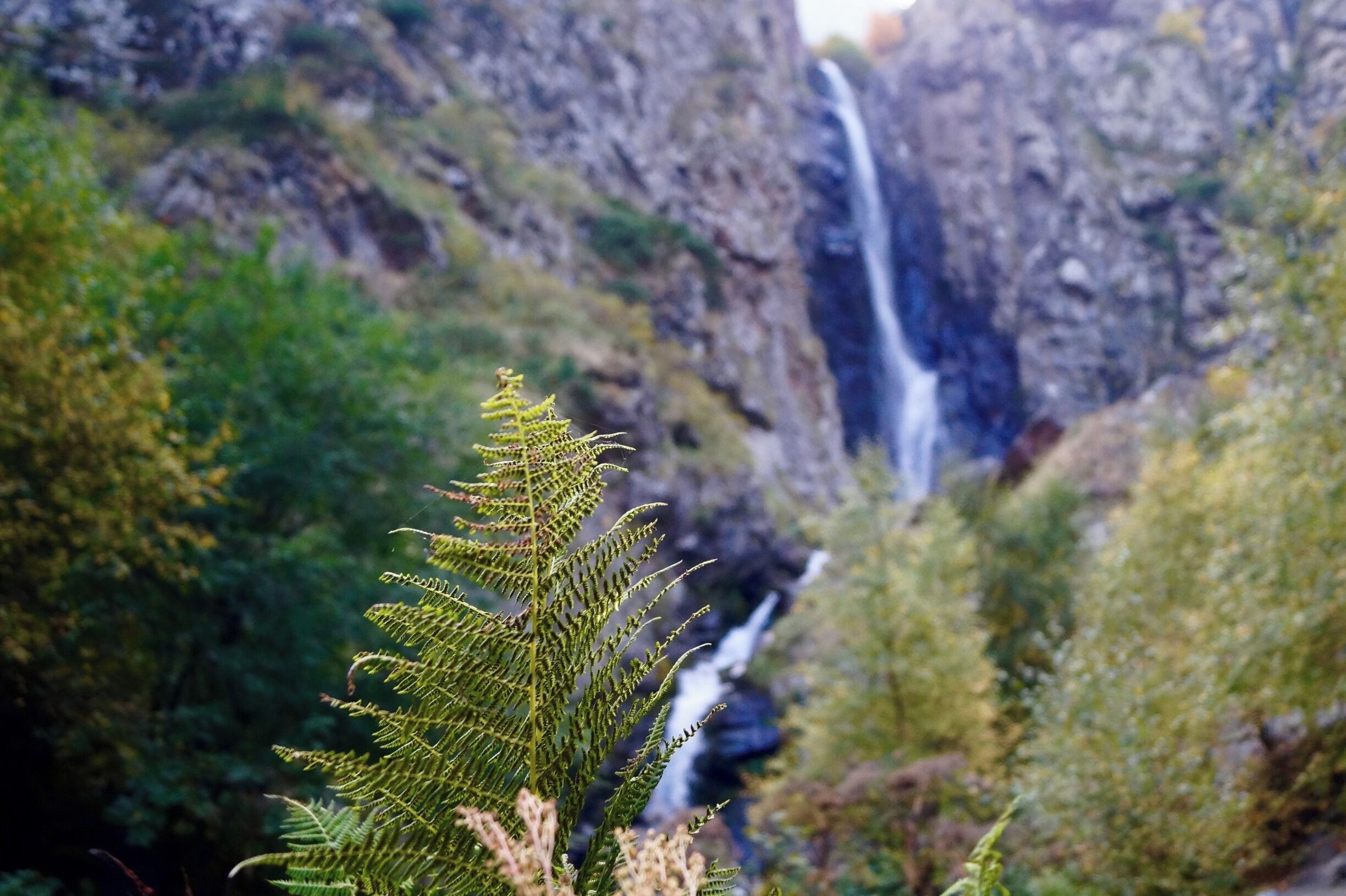Gveleti waterfall near Stepantsminda, Georgia. It's a short 20 min hike from the nearest road.