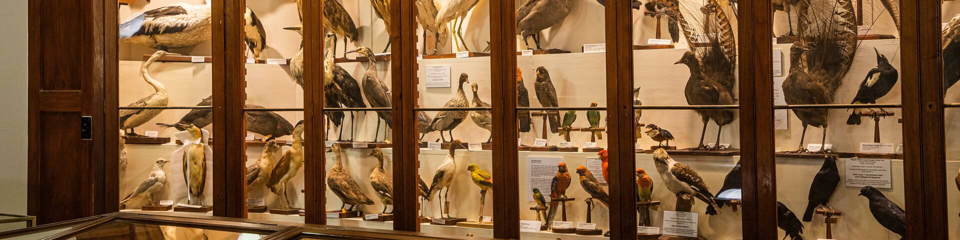 Burke Museum which includes interior views