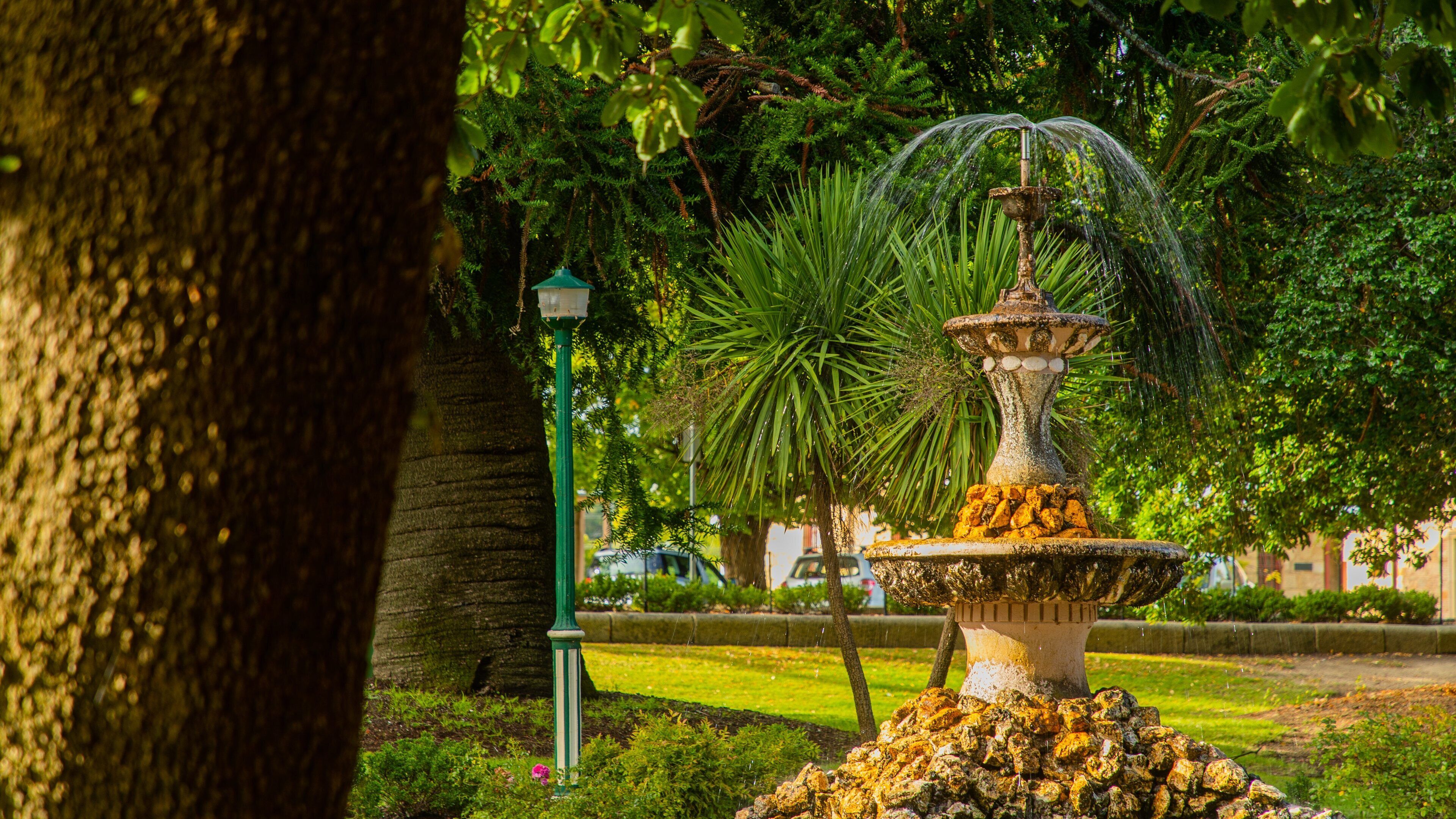 Town Hall Gardens featuring a garden and a fountain