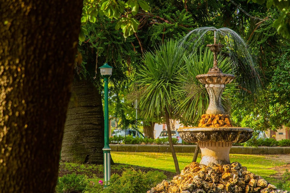 Una fuente rodeada de abundante vegetación y árboles.