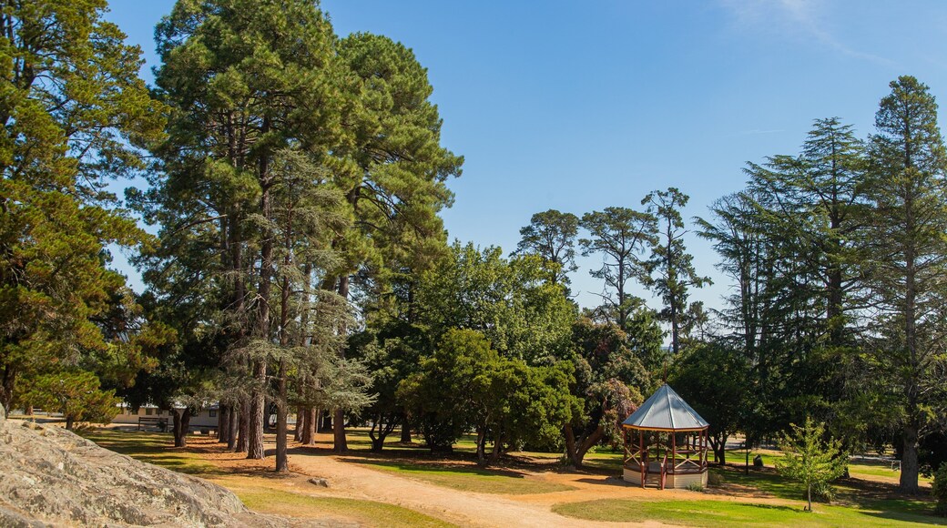 Queen Victoria Park featuring a park