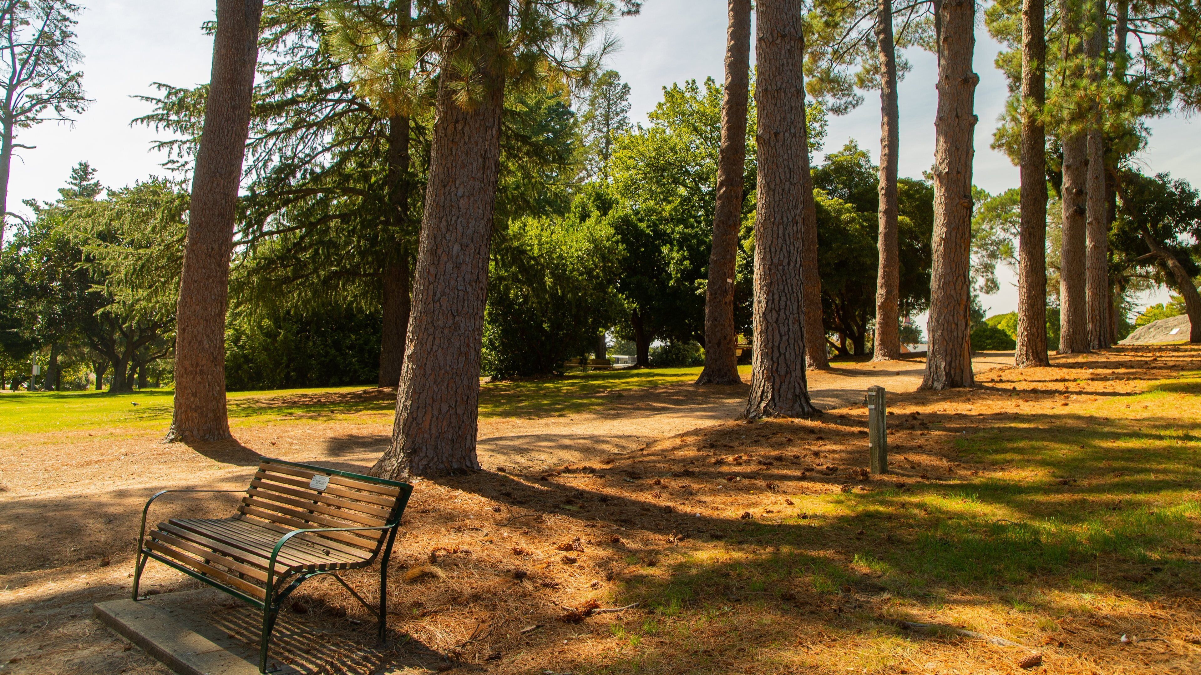 Queen Victoria Park showing a park