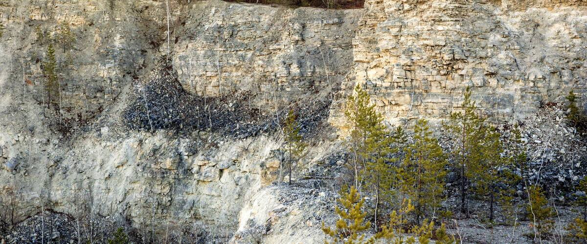A rocky cliff with sparse vegetation and a forest in the background.