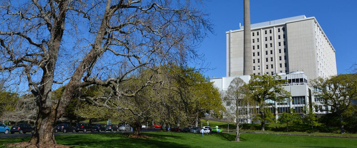 Auckland City Hospital - New Zealand