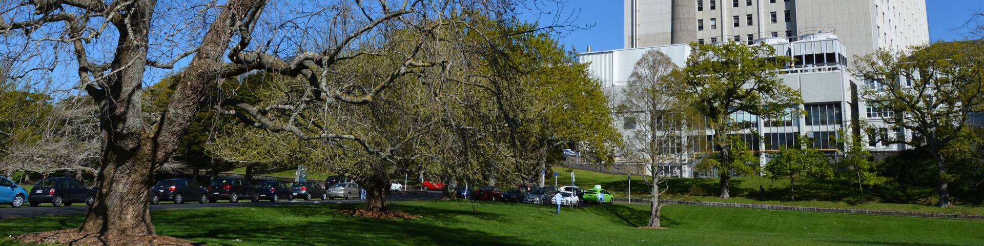 Auckland City Hospital - New Zealand