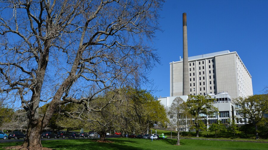 Auckland City Hospital - New Zealand