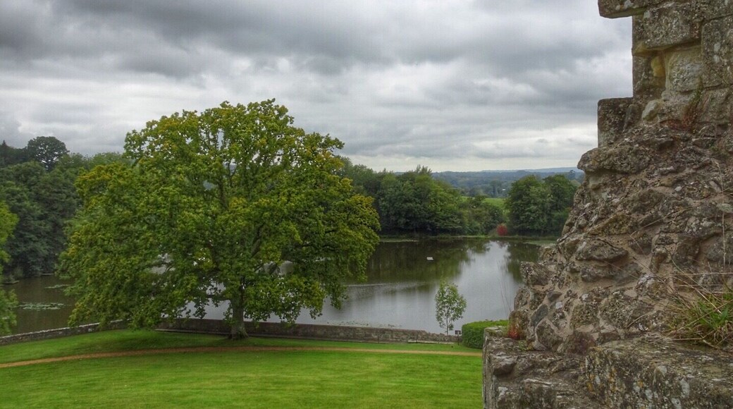 View of the lake from Wardour Castle