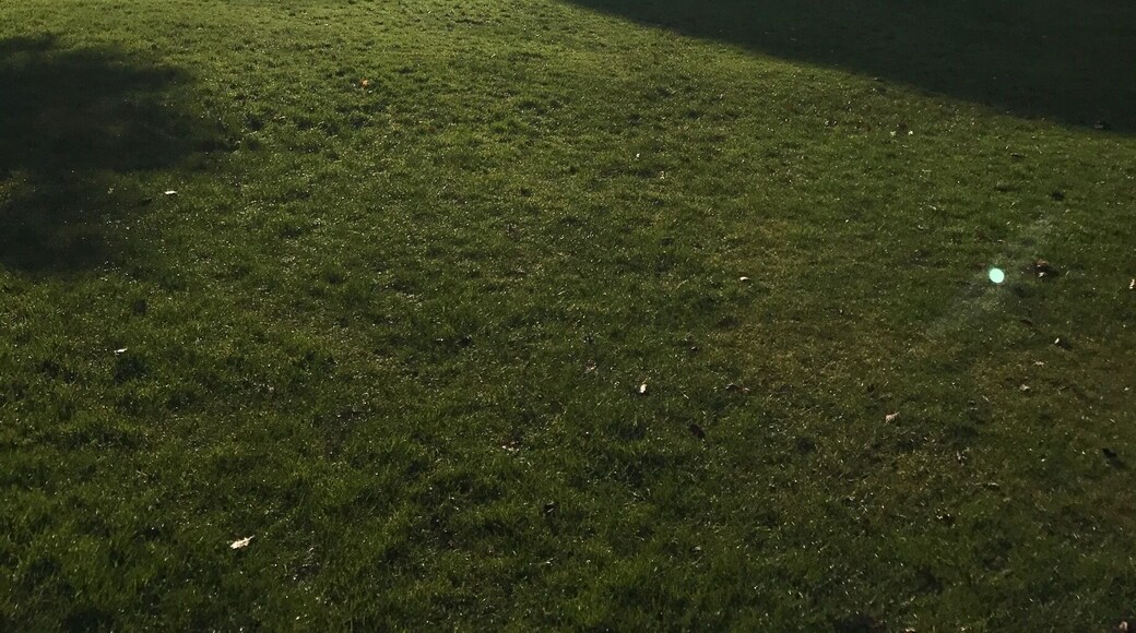 Really good place to explore