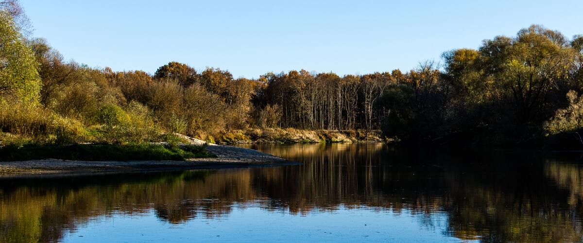 A calm river reflecting trees and a clear sky.