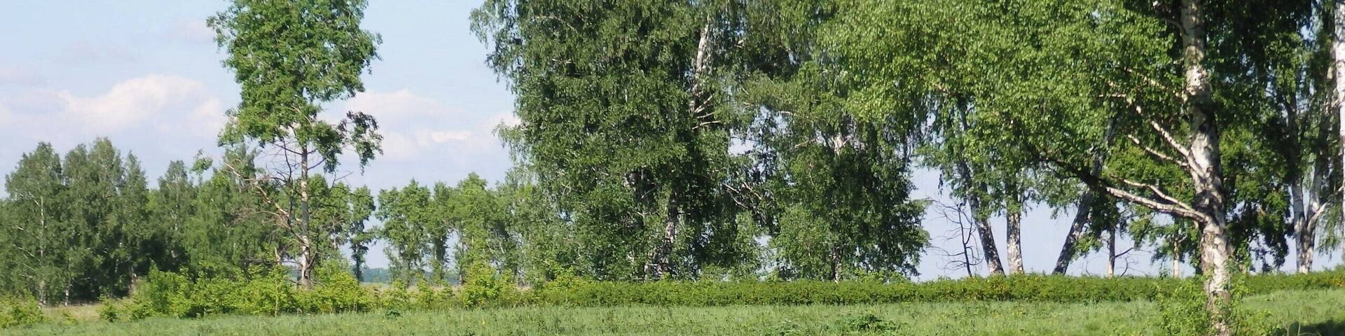 Somewhere around Kiselyovsk in Siberia.
Russian SUV (vnedorozhnik).