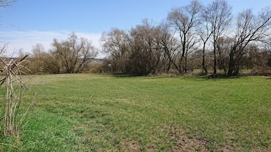 (NSG:BY-NSG-00408.01)_Altmain und Sandmagerrasen bei Limbach