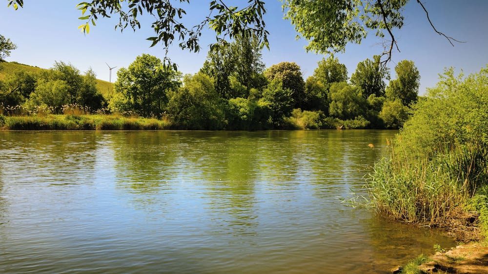 Une rivière paisible, bordée de chaque côté d’une végétation luxuriante et d’arbres.