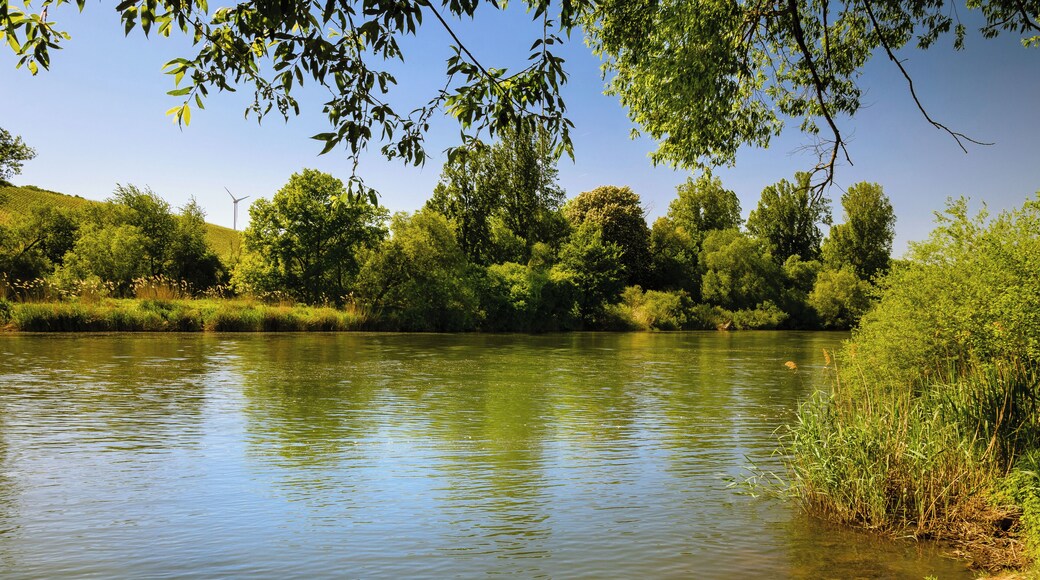 Das Foto zeigt die Mainaue zwischen Sommerach und Köhler (Kennung: NSG-00500.01; WDPA ID: 164554)