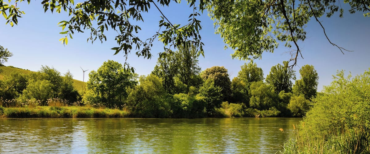 Das Foto zeigt die Mainaue zwischen Sommerach und Köhler (Kennung: NSG-00500.01; WDPA ID: 164554)