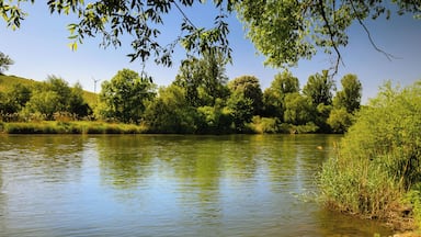 Un río tranquilo flanqueado por densa vegetación y árboles.