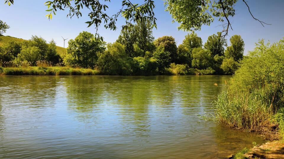 A calm river with dense greenery and trees on both sides.