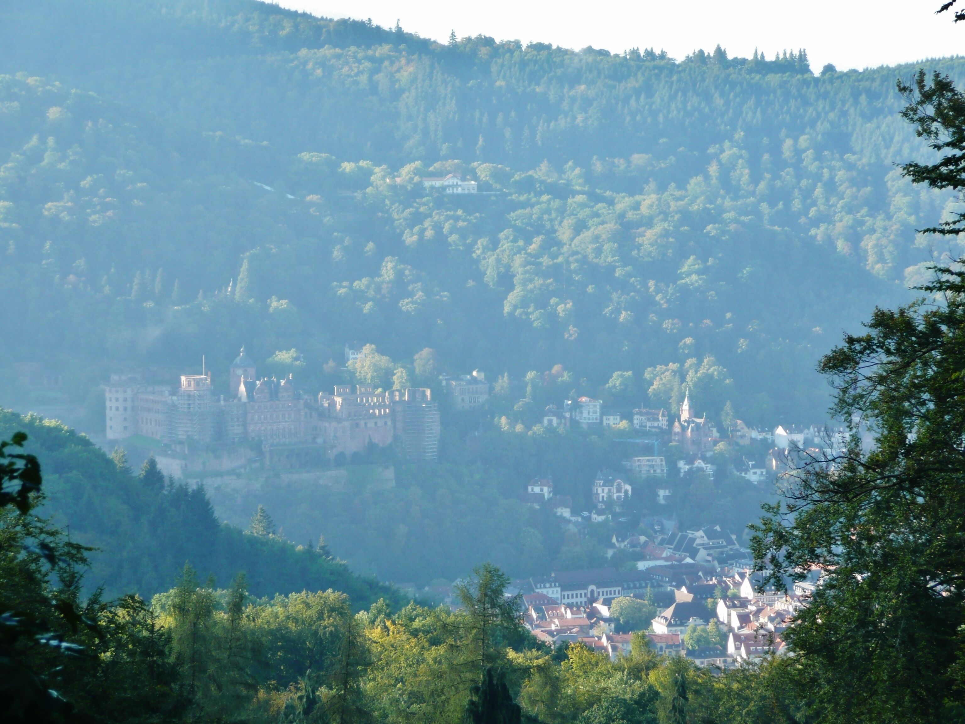 Blick Richtung Heidelberger Schloss