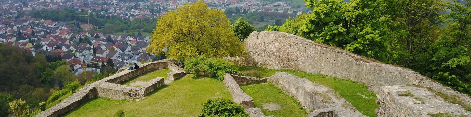 Blick vom Bergfried Richtung Westen