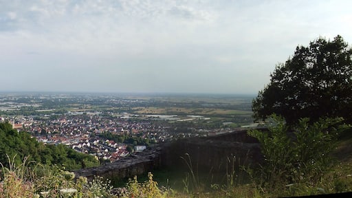 Schauenburg-Ruine: Blick über Dossenheim