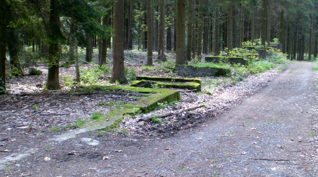 Reste einer V1-Stellung im Erpeler Kirchspielwald zwischen Auge Gottes und Bruchhausen