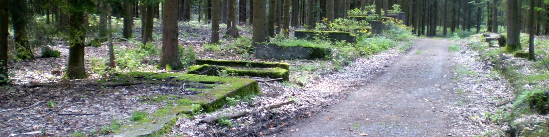 Reste einer V1-Stellung im Erpeler Kirchspielwald zwischen Auge Gottes und Bruchhausen