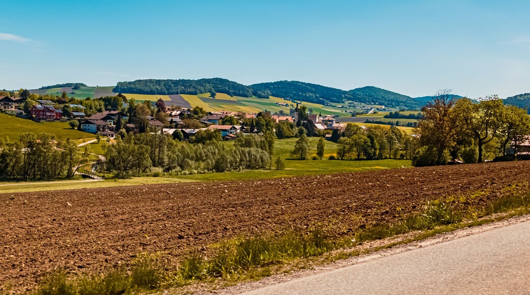 Neukirchen Beim Heiligen Blut