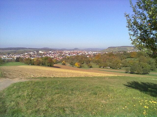 Felder und Streuobstwiesen oberhalb von Steinheim