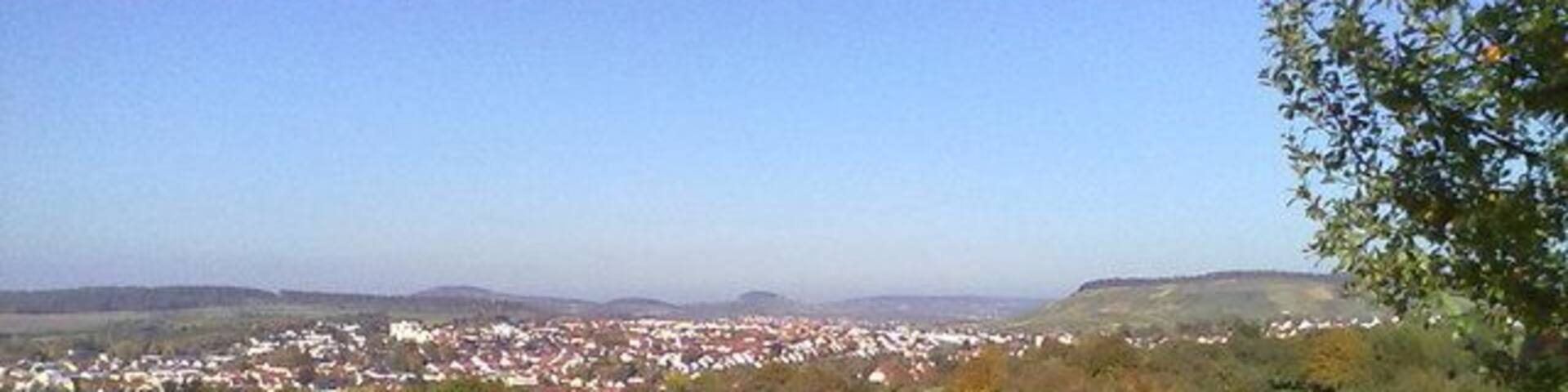 Felder und Streuobstwiesen oberhalb von Steinheim