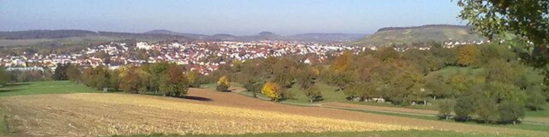 Felder und Streuobstwiesen oberhalb von Steinheim