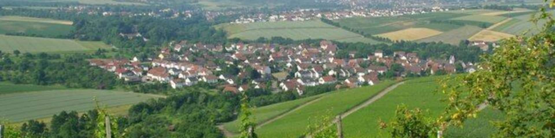 Blick auf Kleinbottwar vom Benning