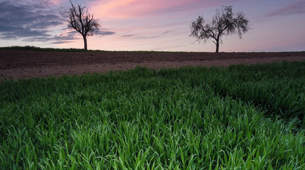 I was pretty in a rush, just came home from university, grab my gear with the Canon 600d and started running to the spot in my hometown.
I would love to go with you Brandon on an Adventure! I will explore like you do. Would be quiet nice to see something different than Germany. But I try to make the best out of it and my beginner gear. I have already learned and get so much motivation from your channel. Would be awesome to met you one day!
#BvSCrete