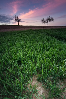 I was pretty in a rush, just came home from university, grab my gear with the Canon 600d and started running to the spot in my hometown.
I would love to go with you Brandon on an Adventure! I will explore like you do. Would be quiet nice to see something different than Germany. But I try to make the best out of it and my beginner gear. I have already learned and get so much motivation from your channel. Would be awesome to met you one day!
#BvSCrete