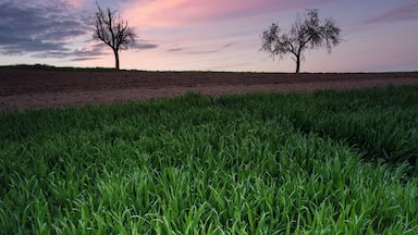 I was pretty in a rush, just came home from university, grab my gear with the Canon 600d and started running to the spot in my hometown.
I would love to go with you Brandon on an Adventure! I will explore like you do. Would be quiet nice to see something different than Germany. But I try to make the best out of it and my beginner gear. I have already learned and get so much motivation from your channel. Would be awesome to met you one day!
#BvSCrete