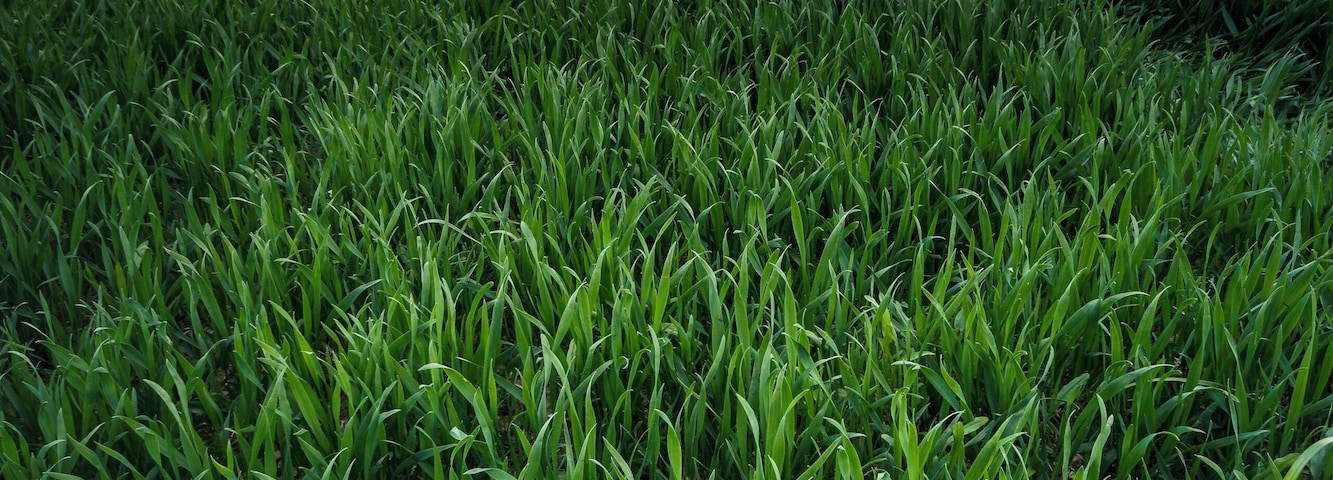 I was pretty in a rush, just came home from university, grab my gear with the Canon 600d and started running to the spot in my hometown.
I would love to go with you Brandon on an Adventure! I will explore like you do. Would be quiet nice to see something different than Germany. But I try to make the best out of it and my beginner gear. I have already learned and get so much motivation from your channel. Would be awesome to met you one day!
#BvSCrete