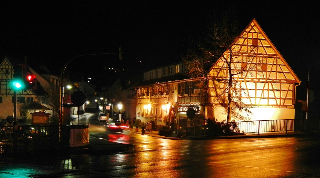 Hotel Restaurant Hirsch in Gosbach