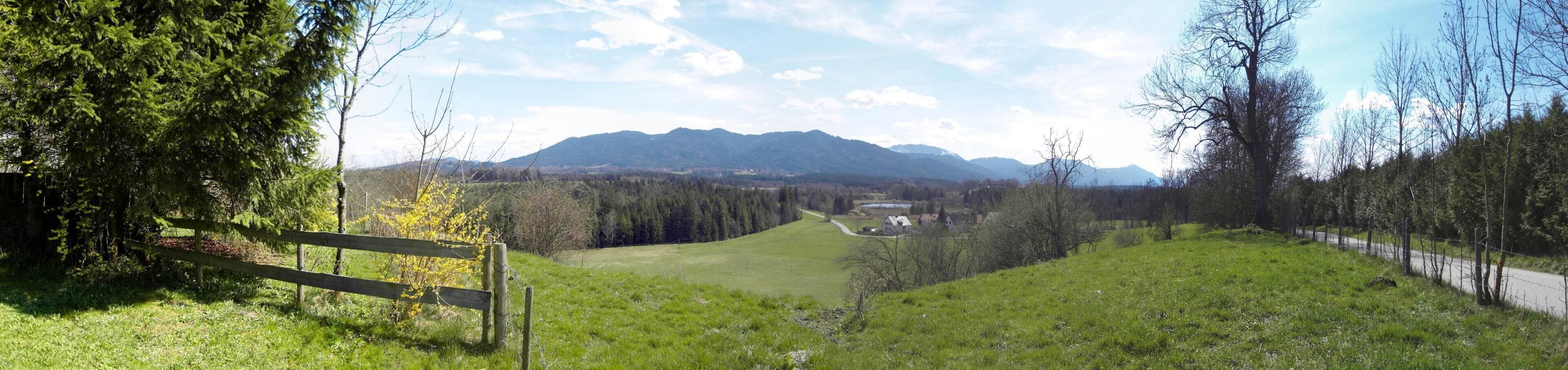 Der Frühling kommt ins Oberland