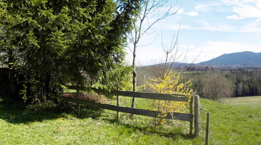 Der Frühling kommt ins Oberland