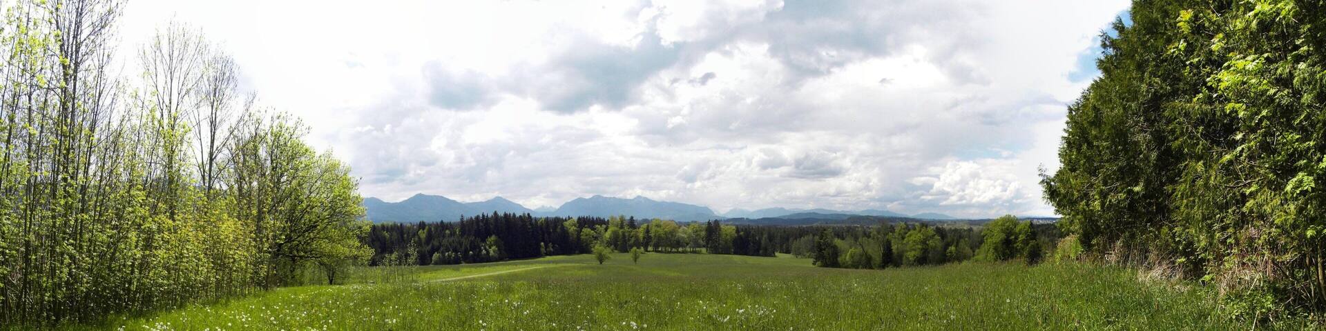 Wiesen im Frühling.