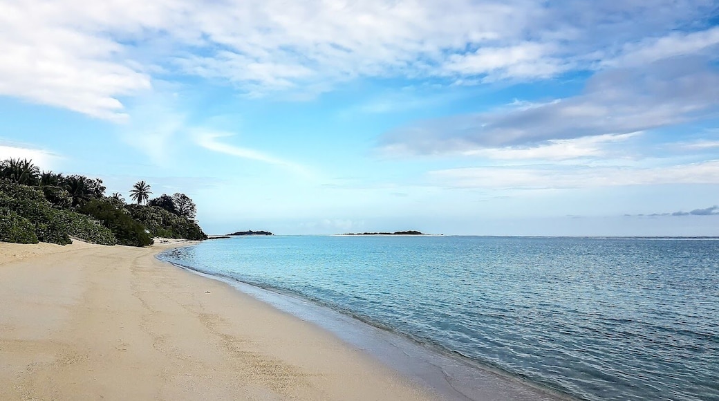 A local island in the Maldives that offers a different experience than the private resort islands. It allows you to experience village life while also having access to gorgeous beaches, turquoise water, snorkeling trips, fishing, swimming with manta rays, island hopping and more.
#maldives #mathiveri #tropicalisland #whitesandbeach