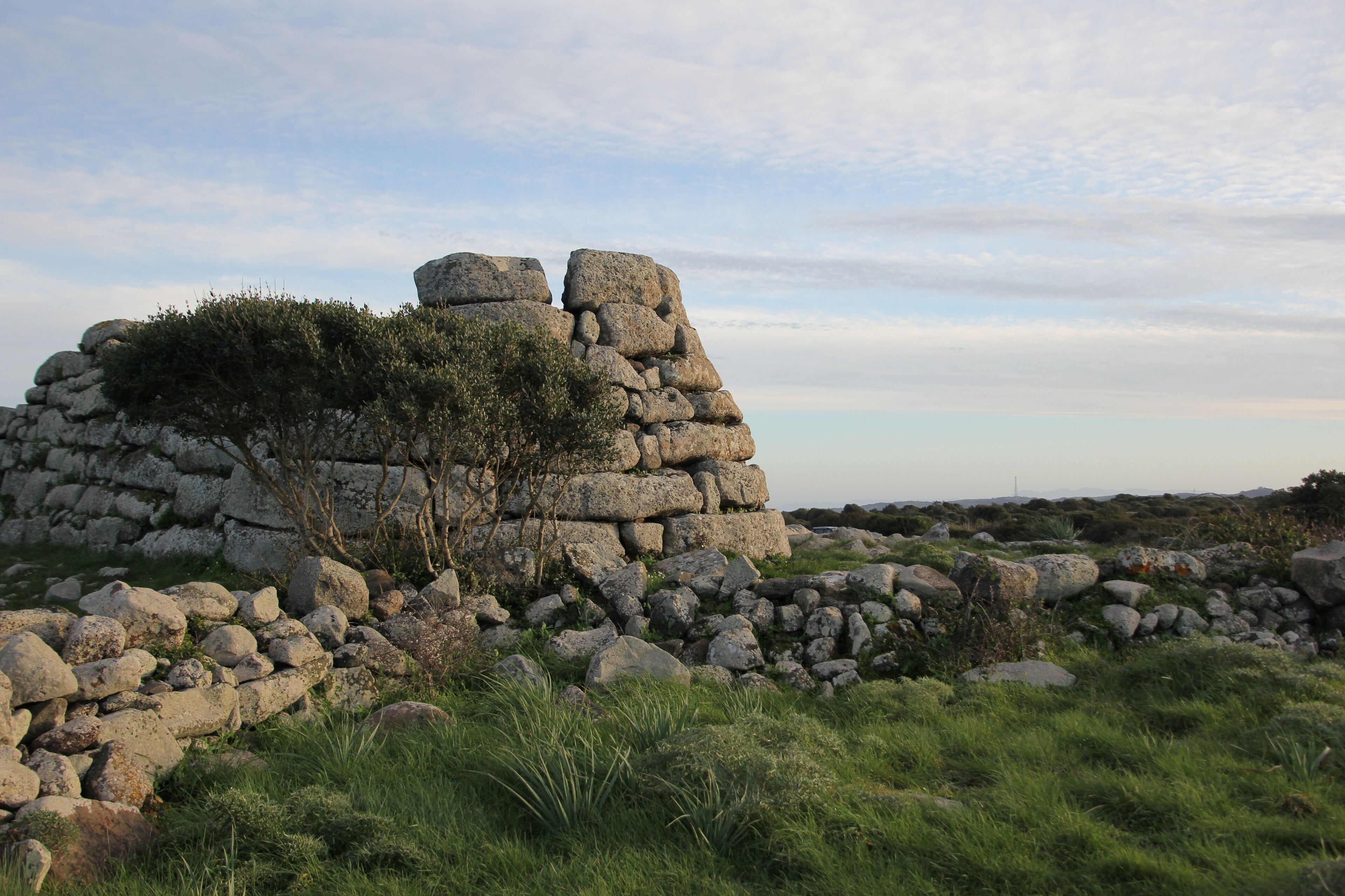 A stone ruin with a tree growing on top, surrounded by grass and rocks.
