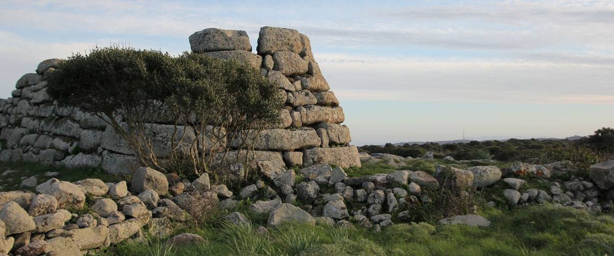 A stone ruin with a tree growing on top, surrounded by grass and rocks.