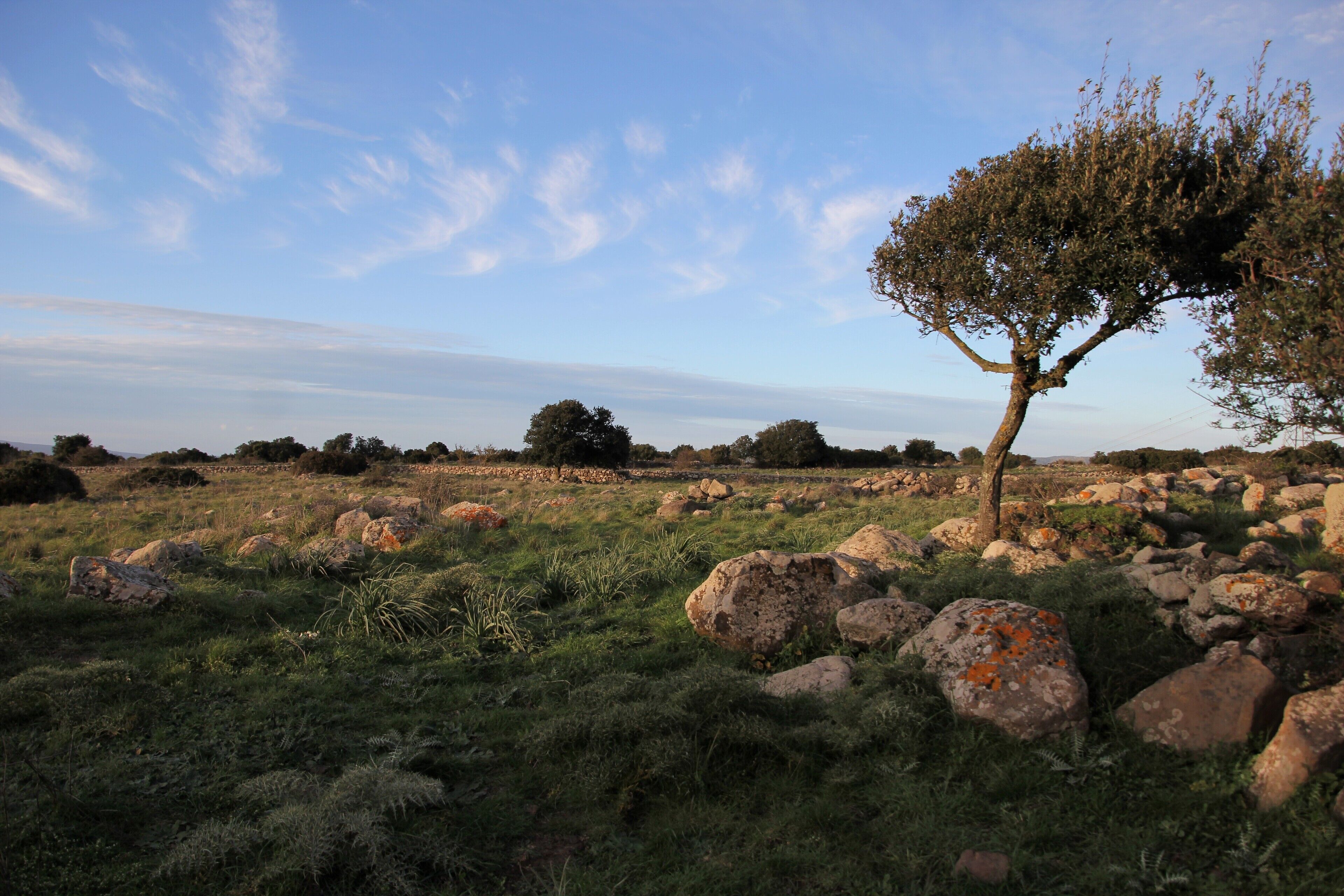 Siddi, giara di Siddi