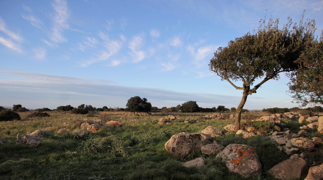 Siddi, giara di Siddi