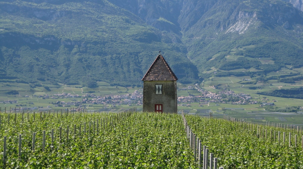 Saltnerhäuschen in Pinzon