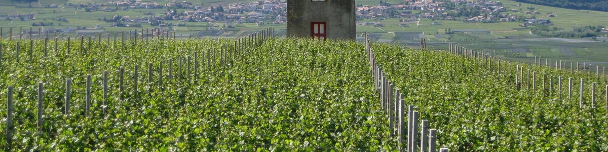 Saltnerhäuschen in Pinzon